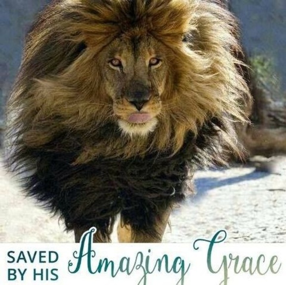 Meet your Posher, Kisty - Picture 1 of 1